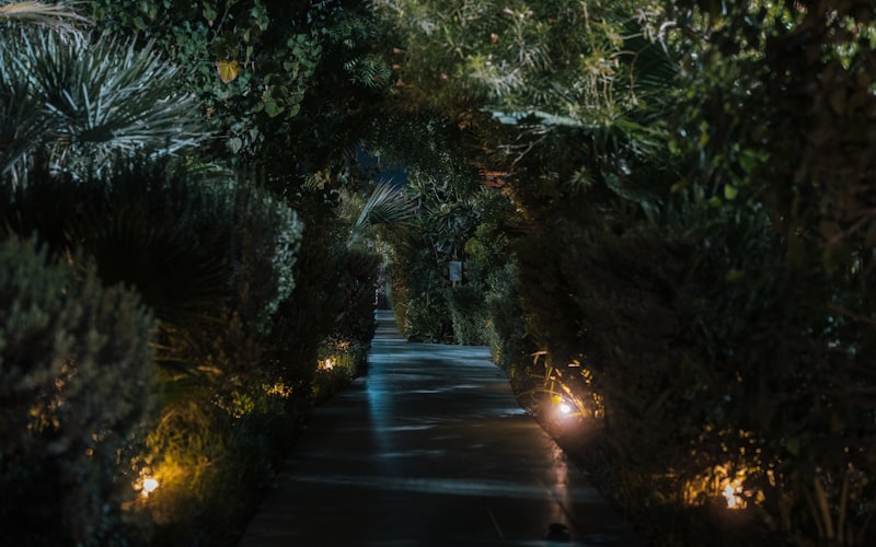 Illuminated pathway with landscape lighting at night